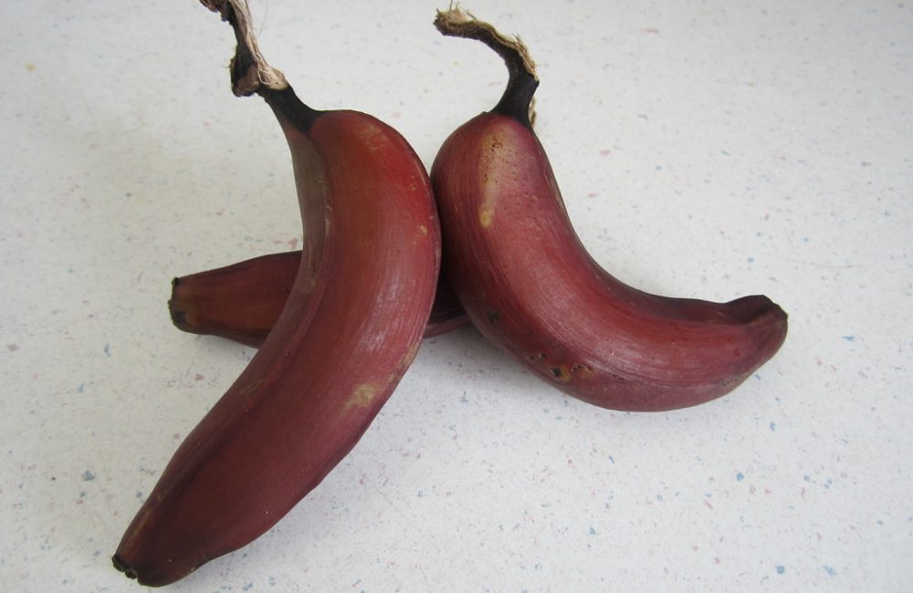 red banana