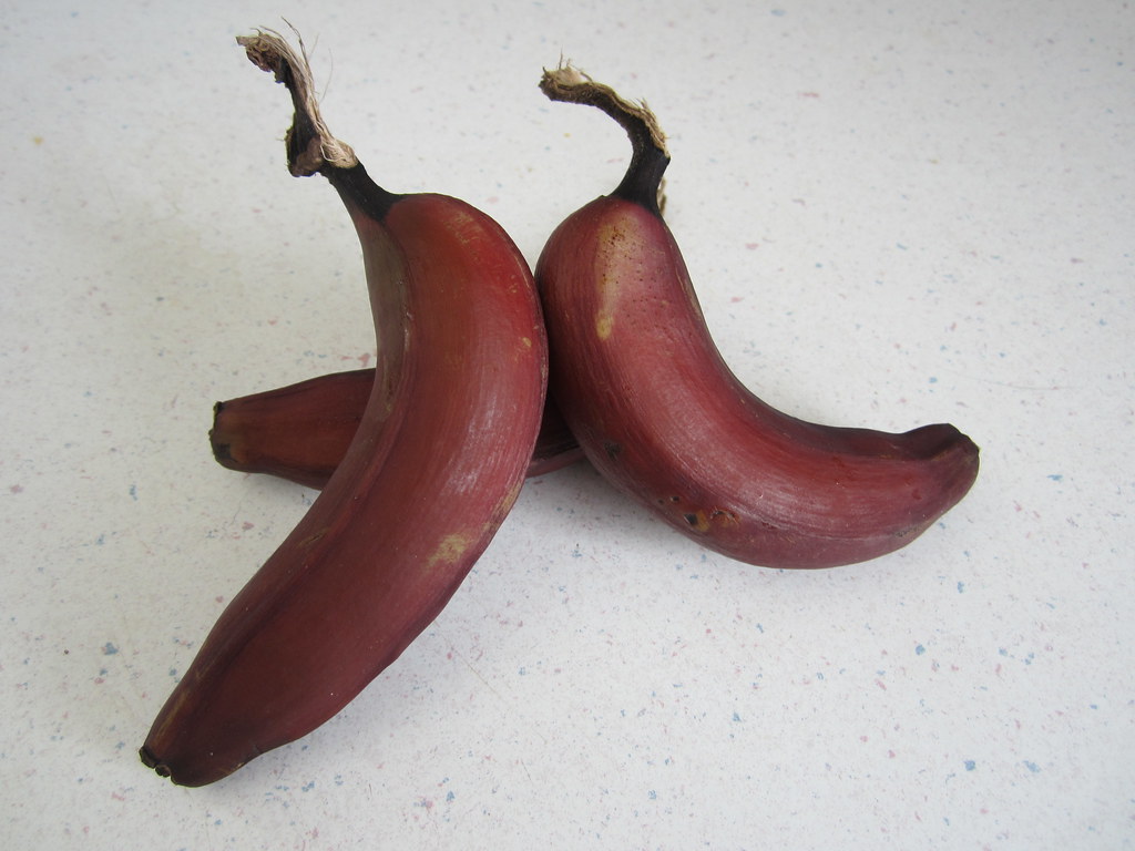 16 Amazing Health Benefits of Red Bananas 1 16 Amazing Health Benefits of Red Bananas