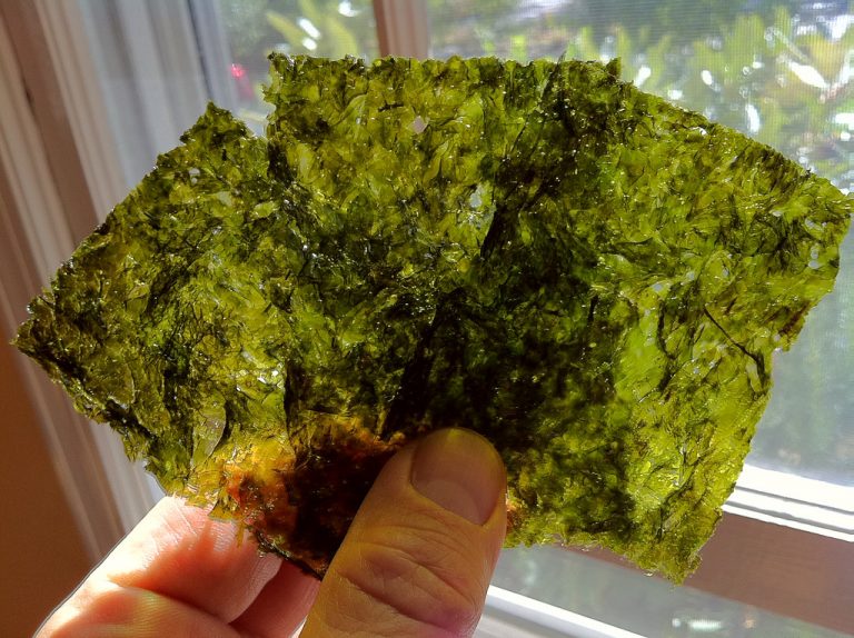 Are Seaweed Snacks Healthy?