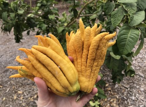 a57d5c60 848c 44f0 8454 9f75817699db