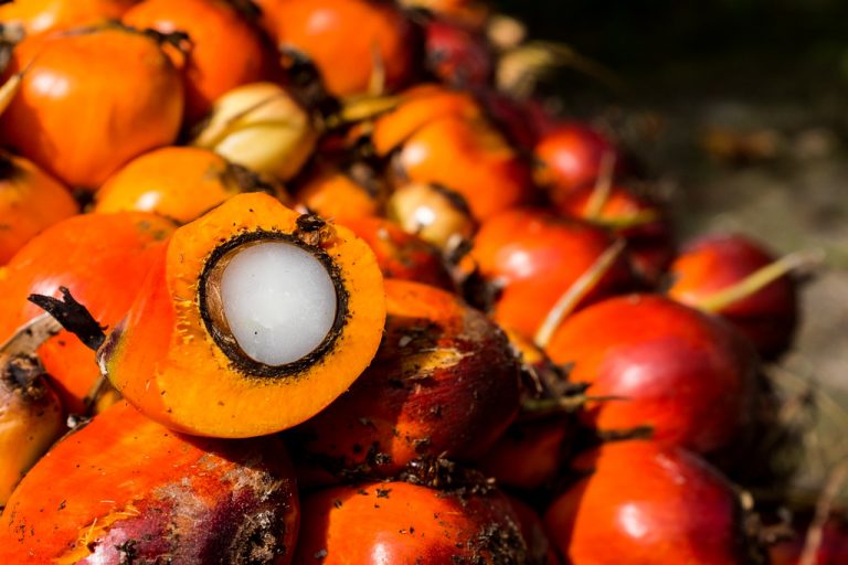 13 Best Health Benefits of Oil Palm Fruit for Men