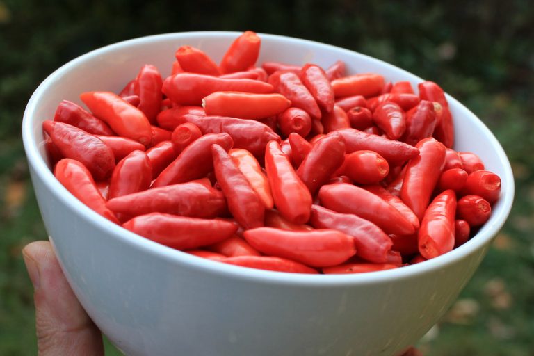 13 Best Foods for Boosting Metabolism Naturally