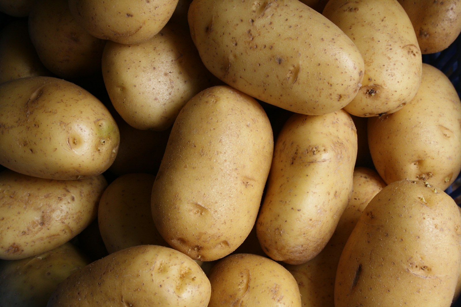 16 Best Tubers for People Seeking Energy-Dense Foods 1 potato