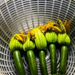 17 Amazing Health Benefits of Zucchini Flowers for Women