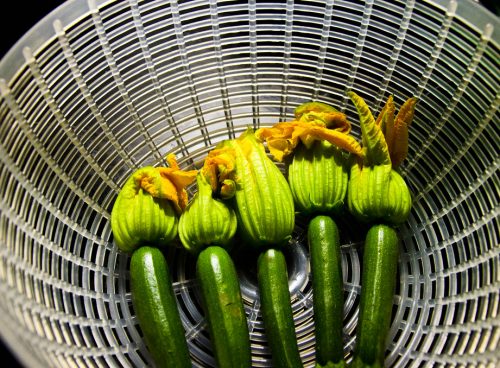 b2e6e142 67c6 4e40 8337 2970474802ed