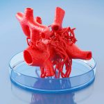 What Is Bioprinting, and How Does It Work?