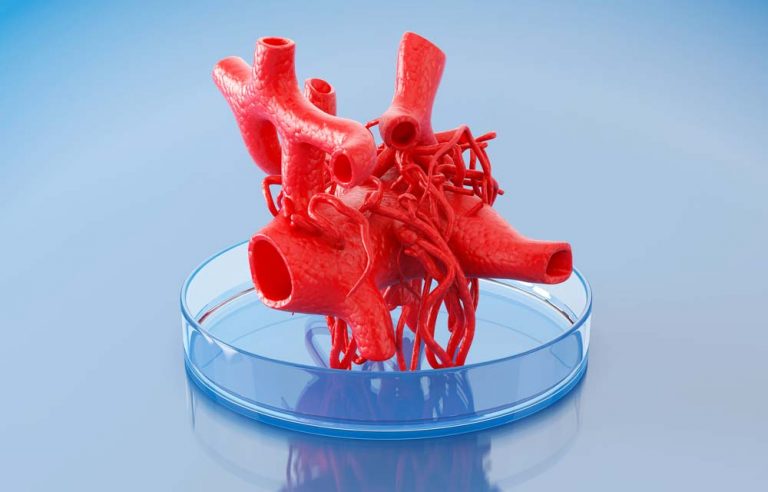 What Is Bioprinting, and How Does It Work?