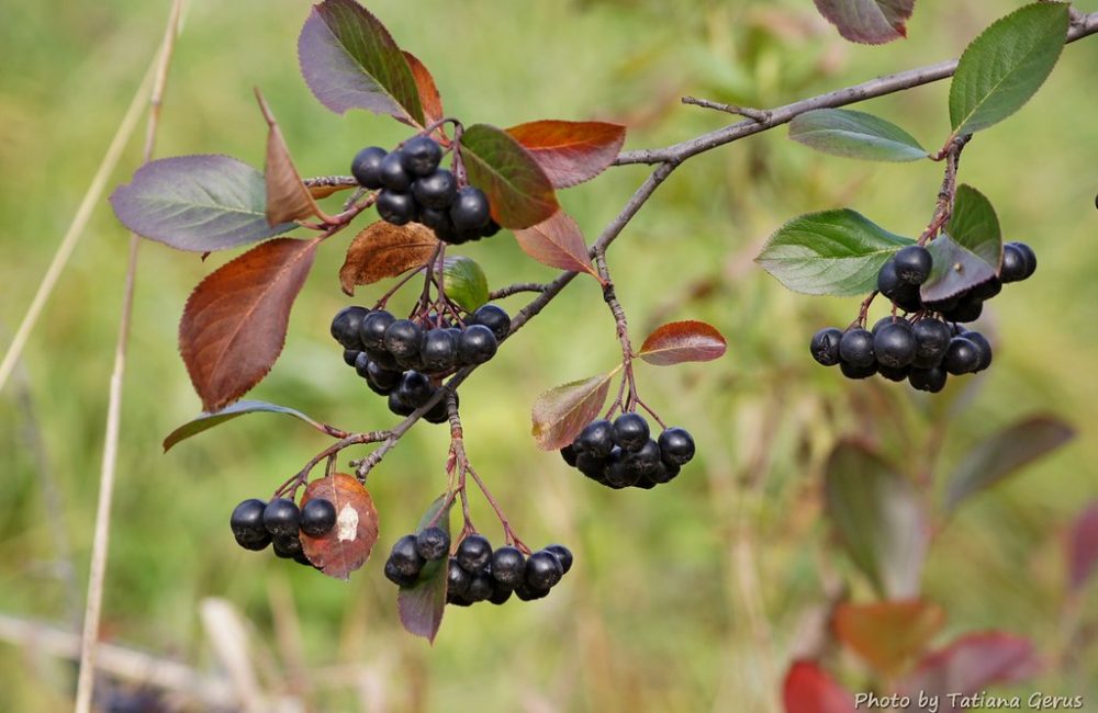 c1cad637 0e9e 4762 a7ad 163b0654551a