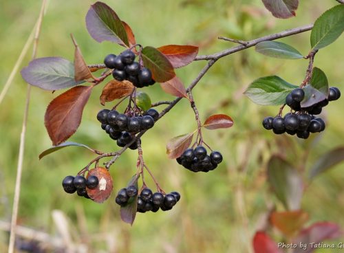 c1cad637 0e9e 4762 a7ad 163b0654551a