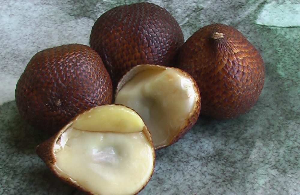 Salak