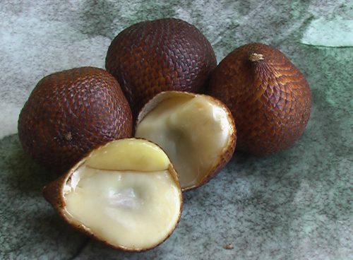 Salak