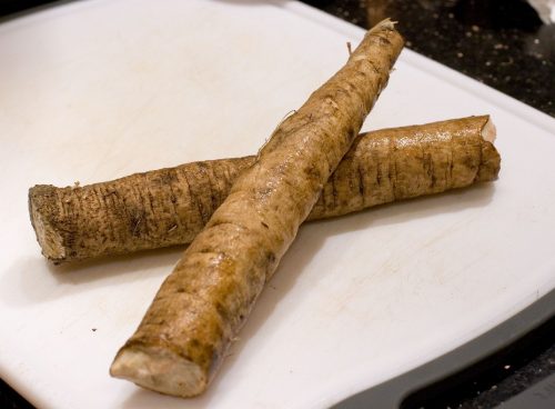 Burdock Root