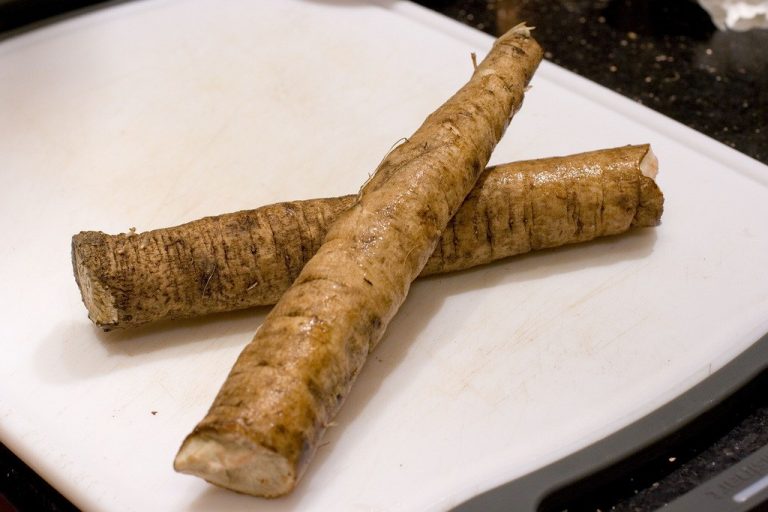 19 Surprising Benefits of Burdock Root