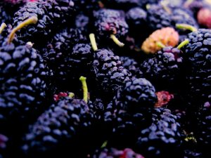 10 Best Health Benefits of Mulberries for Men