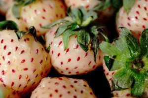 16 Amazing Health Benefits of Pineberries
