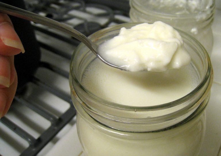 15 Best Foods for Gut Health and Microbiome Support