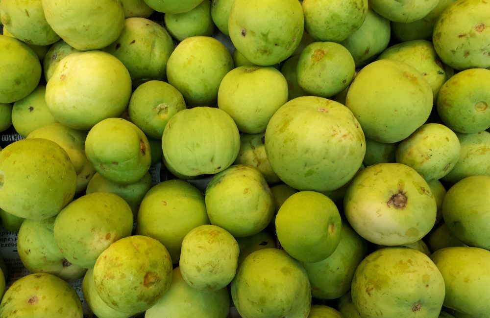 d2165df4 e47a 45f4 9f91 d9369c44d831