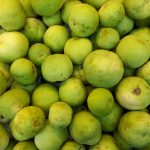 d2165df4 e47a 45f4 9f91 d9369c44d831