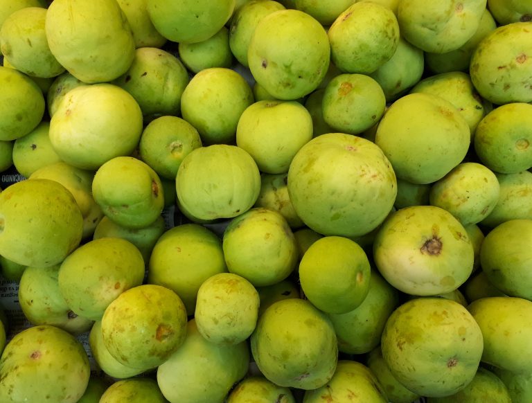 13 Amazing Benefits of Tinda: A Nutrient-Packed Gourd for Optimal Health