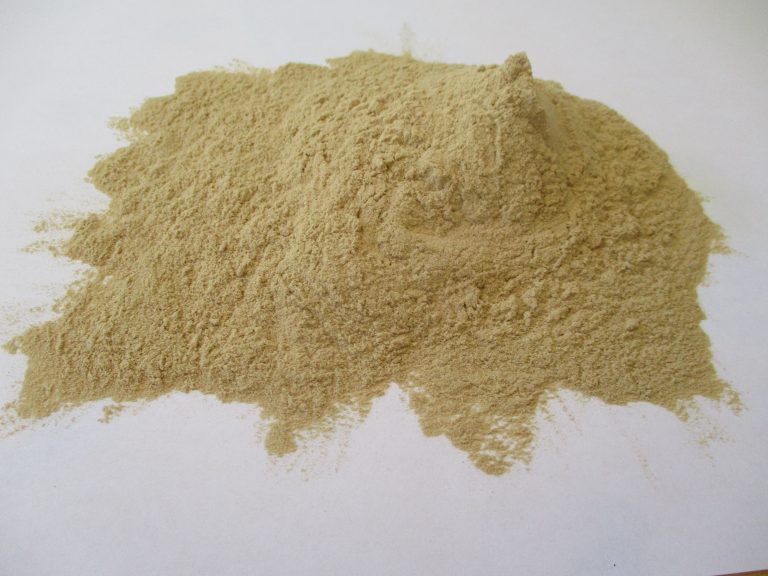 16 Amazing Health Benefits of Consuming Baobab Powder