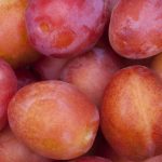 12 Best Health Benefits of Plum for Men