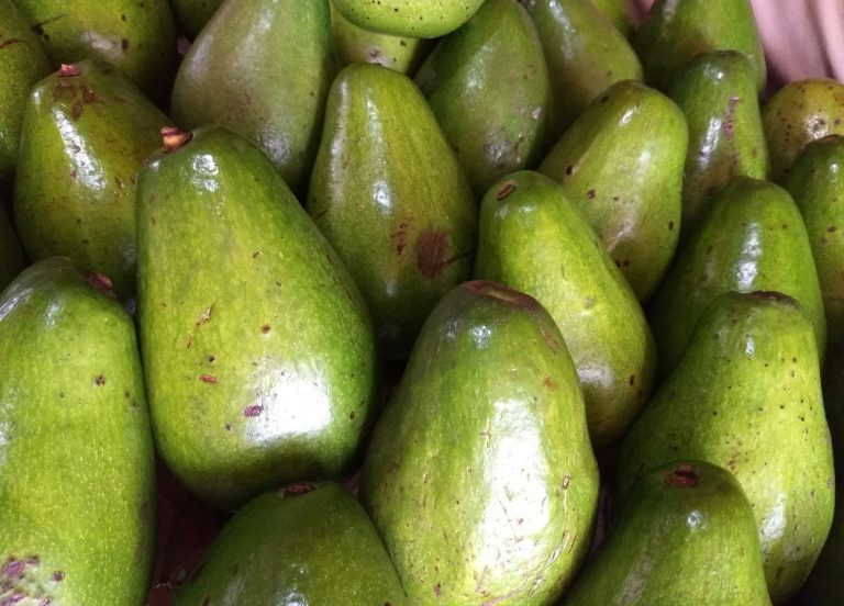 12 Best Foods for Healthy Fats and Omega-3s