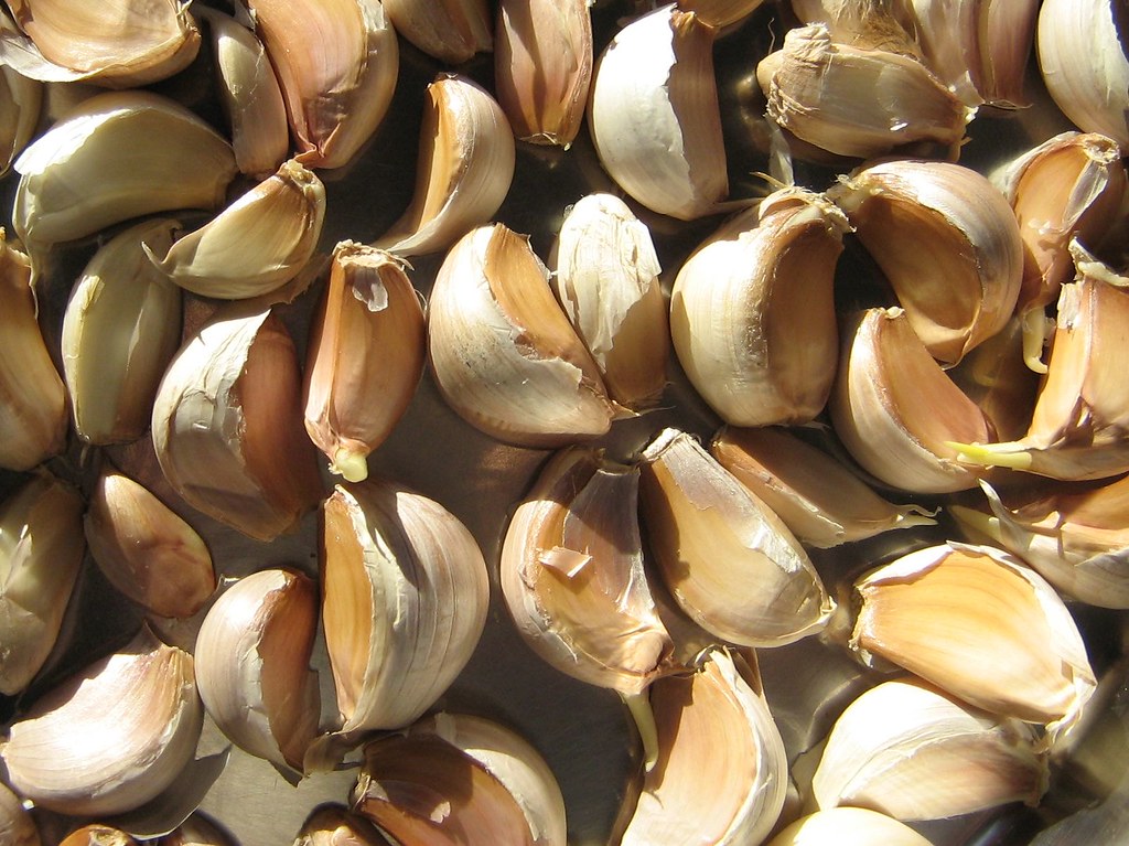 12 Natural Remedies Against X-linked Agammaglobulinemia (XLA)