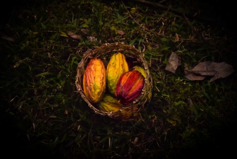 15 Amazing Health Benefits of Babaco