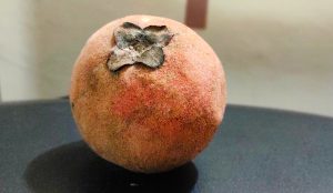 16 Best Health Benefits of Velvet Apple for Women
