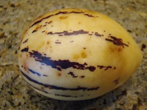 15 Amazing Health Benefits of Pepino Melon