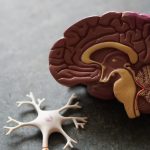 12 Natural Foods That Boost Your Concentration and Memory