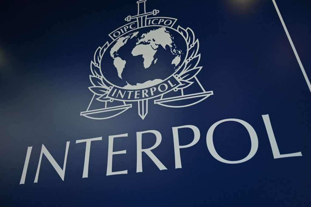 What Exactly Does Interpol Do?