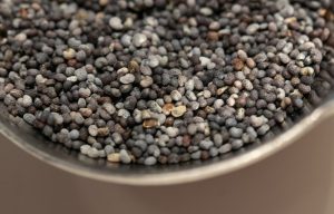 14 Best Foods for Improving Flexibility