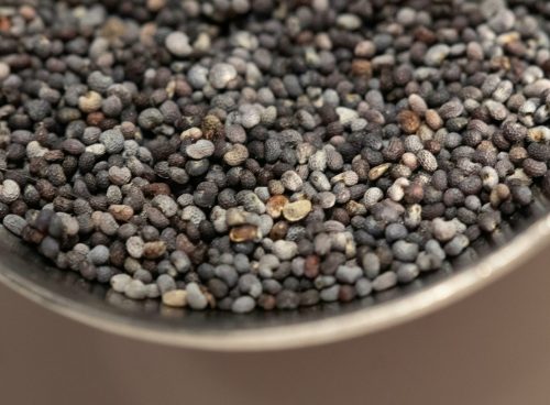 chia seeds