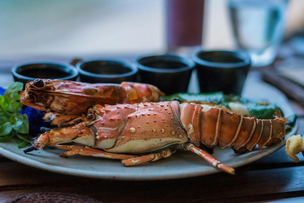 Can lobsters Feel Pain? 1 Can lobsters Feel Pain?