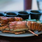 Can lobsters Feel Pain?