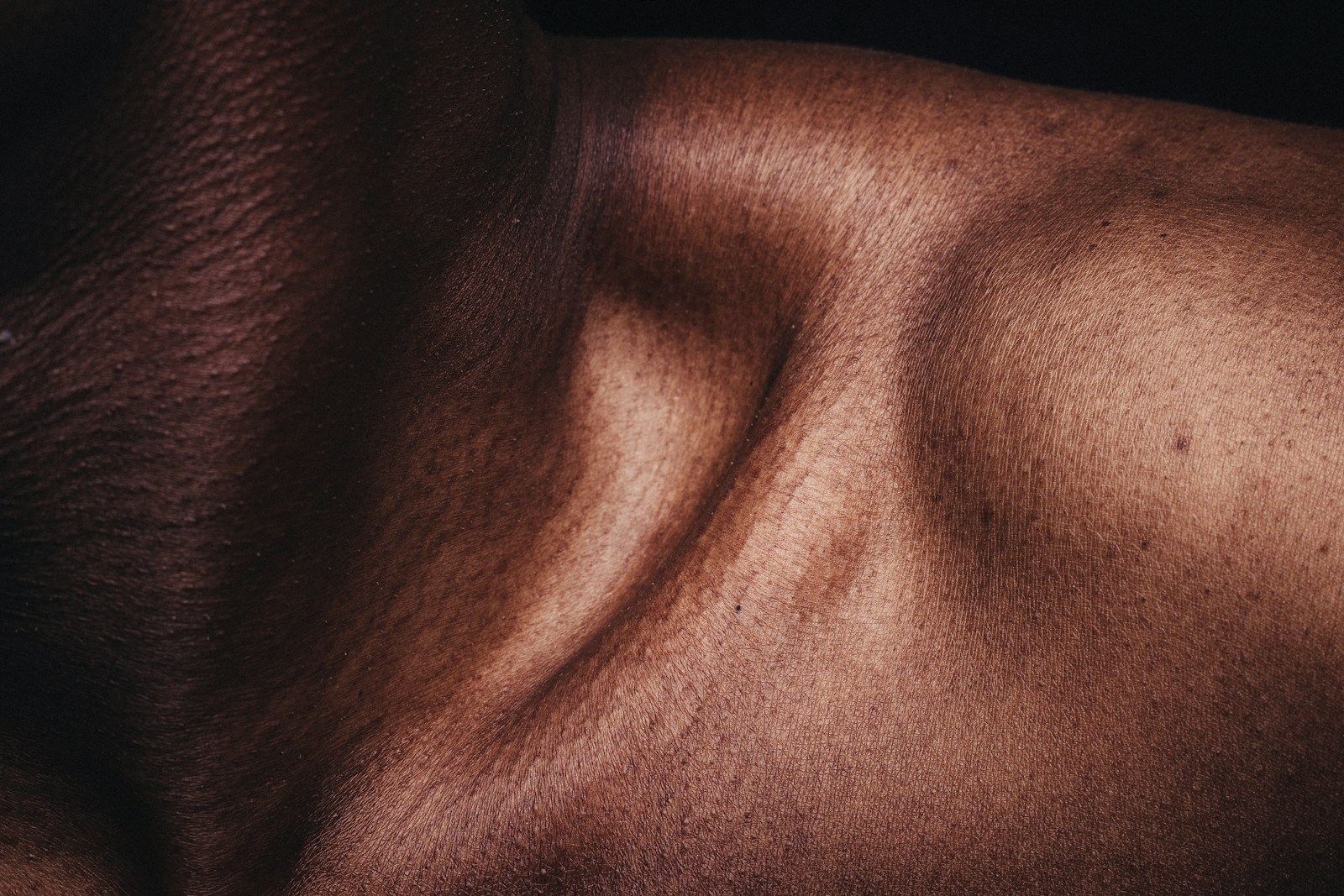 16 Best Foods for Enhancing the Natural Glow of Skin 1 skin