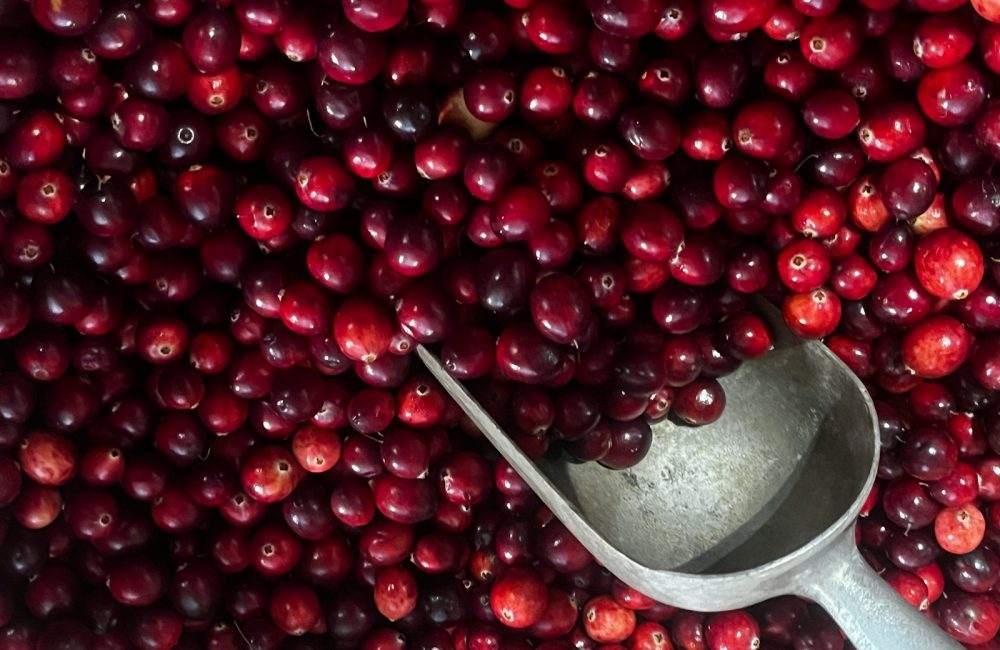 cranberries