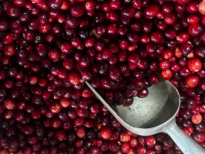 15 Best Foods for Urinary System Cleanse