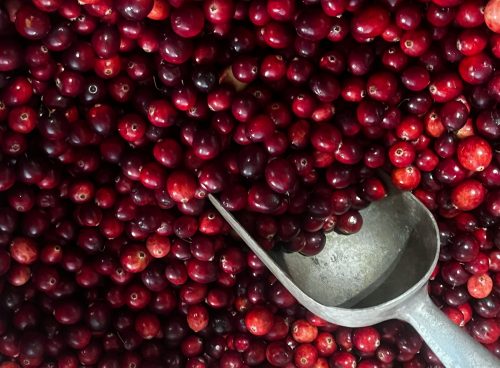 cranberries