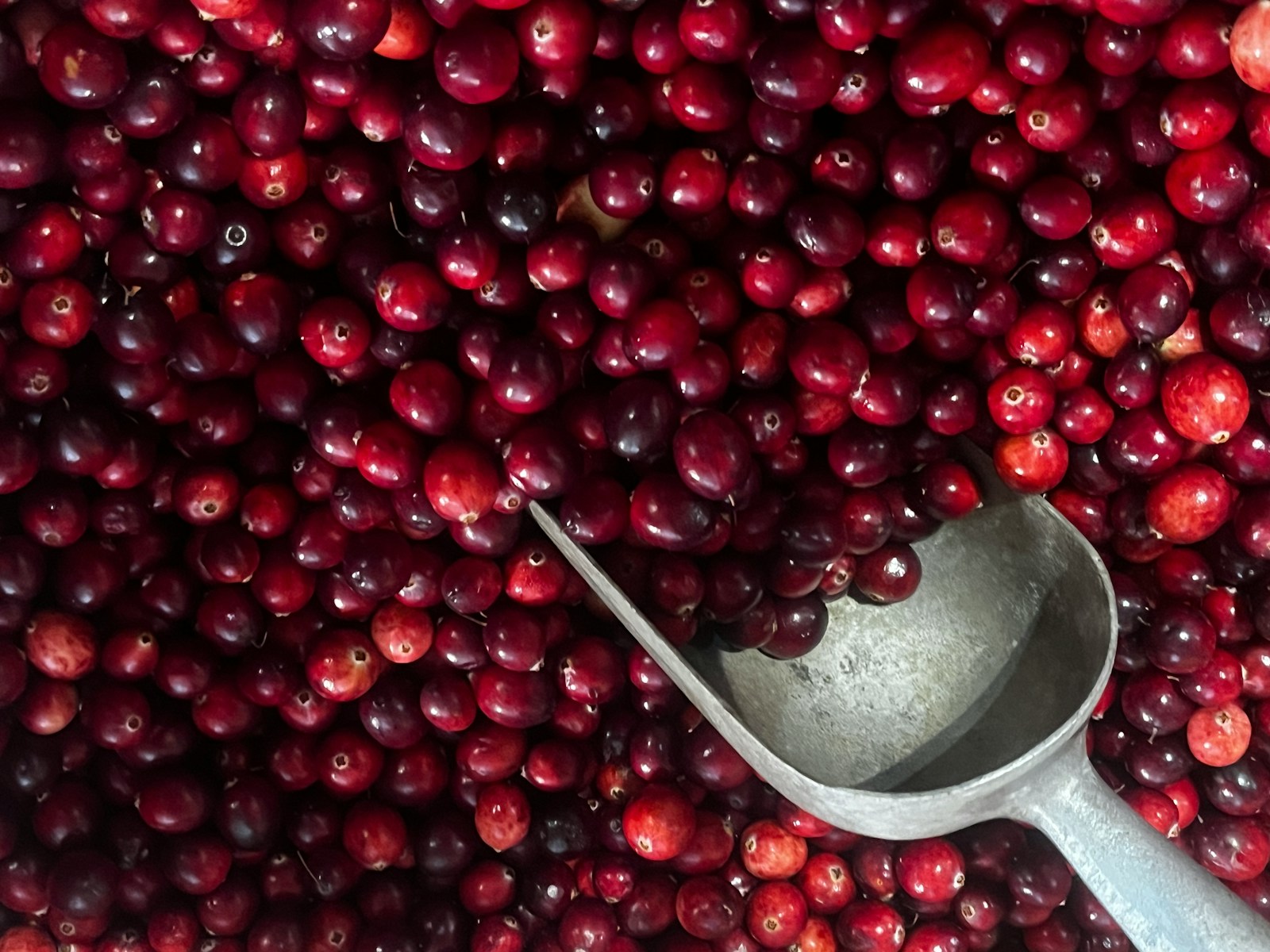 15 Best Foods for Urinary System Cleanse 1 cranberries