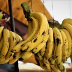 15 Best Foods for Improving Endurance in Runners