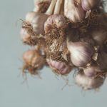 25 Probiotic Foods for a Healthy Gut Microbiome