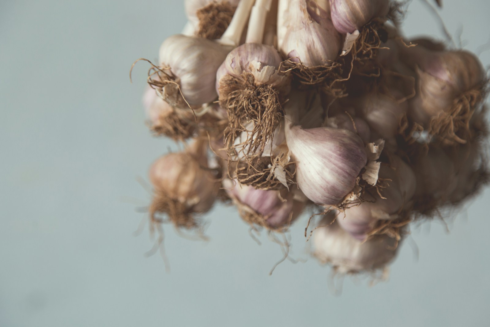 25 Probiotic Foods for a Healthy Gut Microbiome 1 white garlic