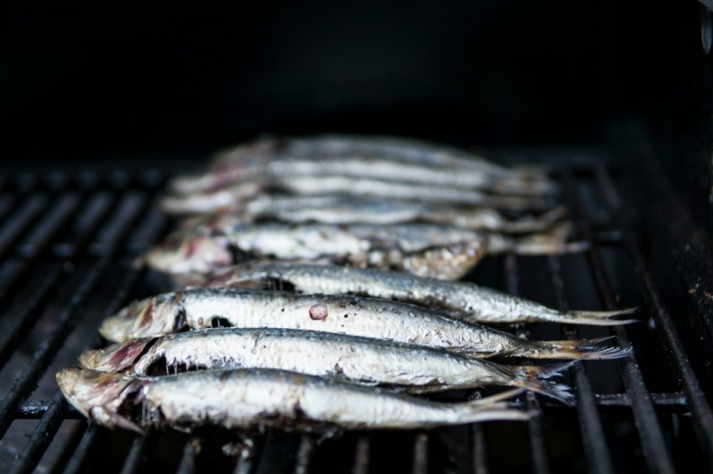 16 Best Foods for Musculoskeletal System Health
