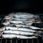 16 Best Foods for Musculoskeletal System Health