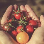 13 Best Foods for Supporting Men’s Prostate Health