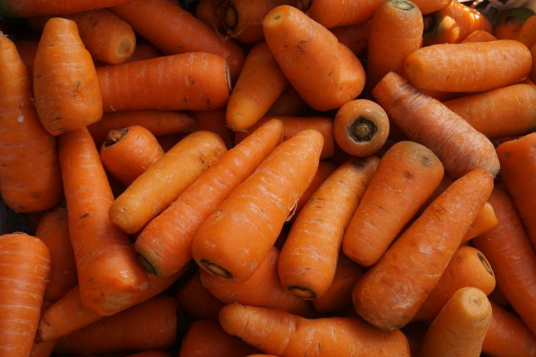 14 Best Foods for Improving Vision in Aging Adults