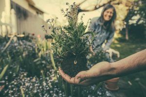 18 Amazing Benefits of Gardening for Your General Health