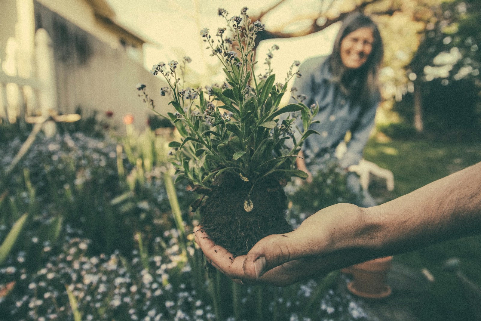 18 Amazing Benefits of Gardening for Your General Health 1 gardening